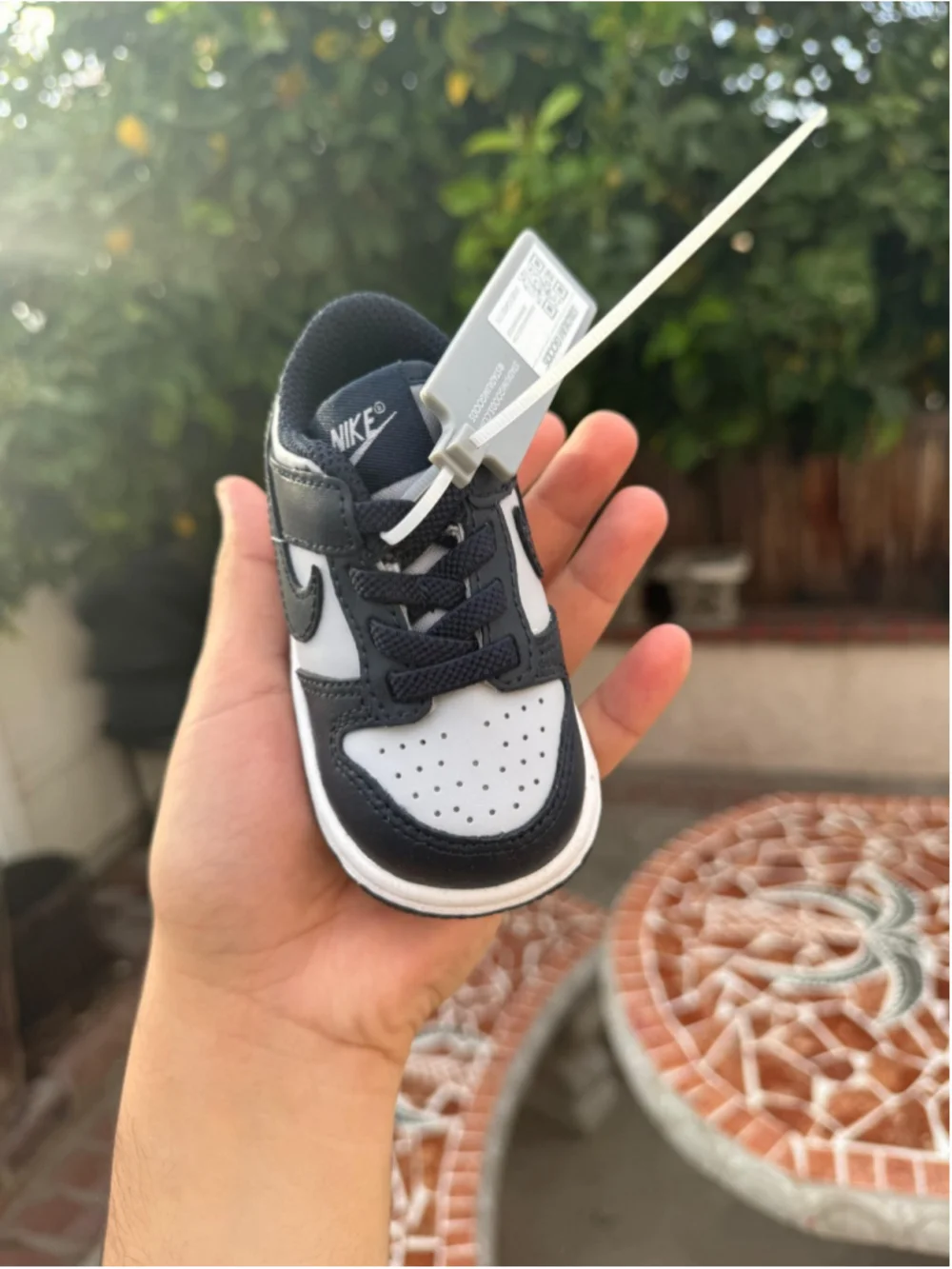 NiNike Dunk Low (TD) 